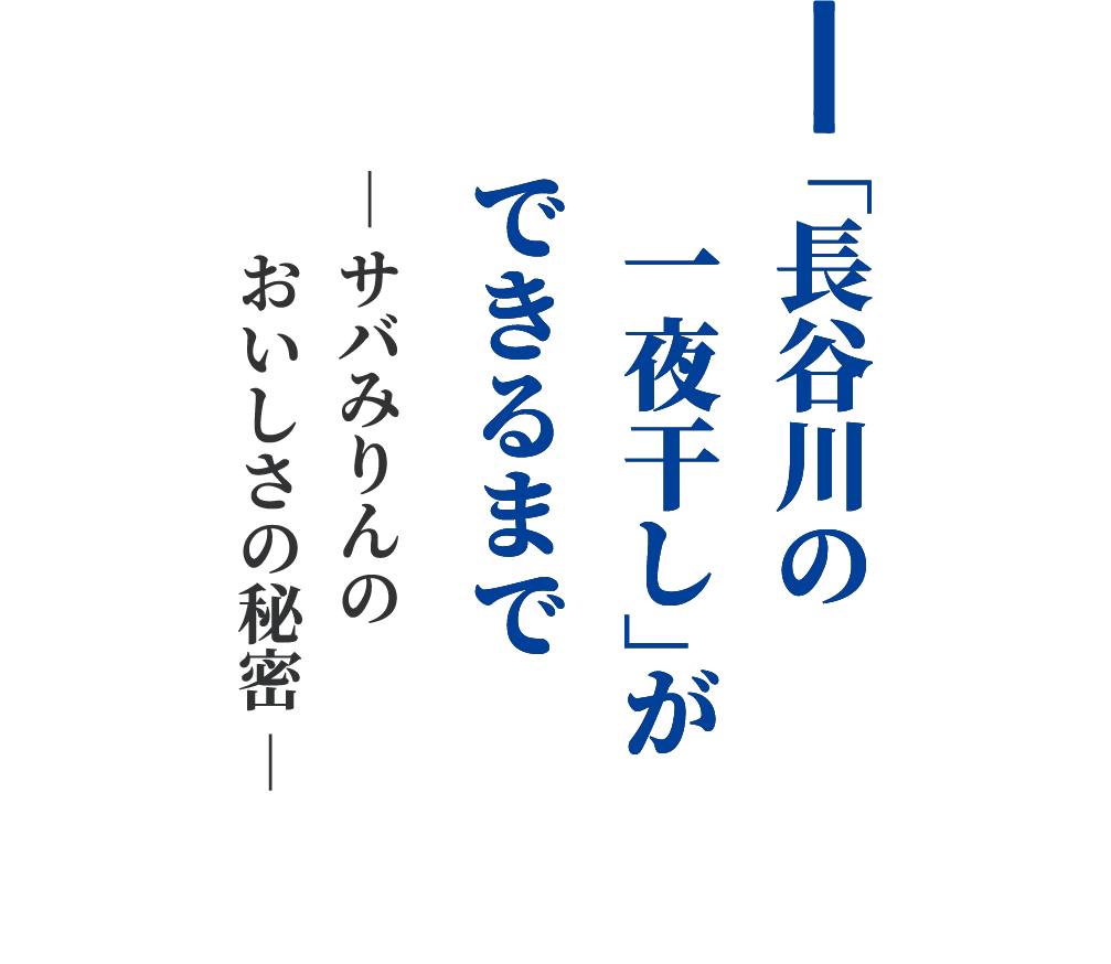 長谷川の「一夜干し」ができるまで